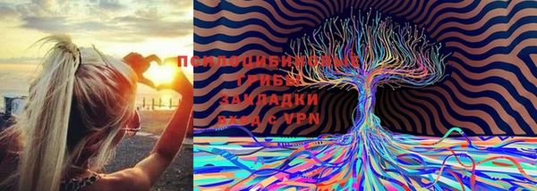 скорость mdpv Бугульма
