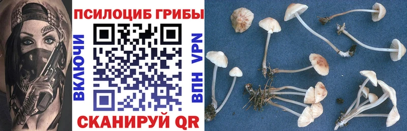 Галлюциногенные грибы ЛСД  Кириши 